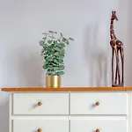 Agapanthes Jolie Maison De A Avec Exterieur Terrasse בית נופש *
