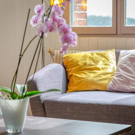 Agapanthes Jolie Maison De à Avec Extérieur Terrasse